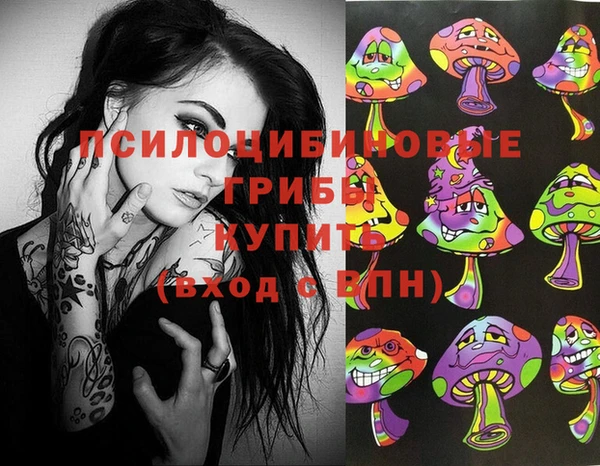 spice Балахна